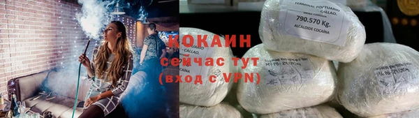 эйфоретик Сосновка