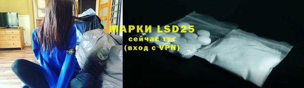 мяу мяу мука Аркадак