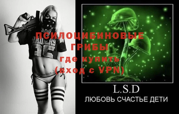 эйфоретик Сосновка