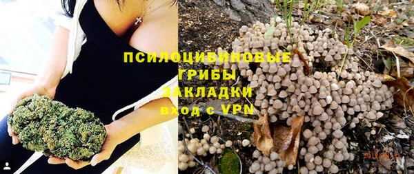первитин Алексин