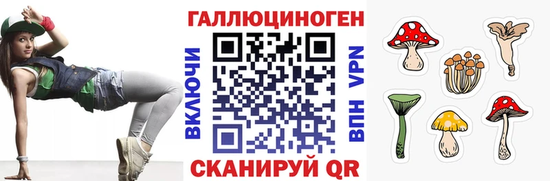 KRAKEN tor  где продают   Георгиевск  Псилоцибиновые грибы Magic Shrooms 