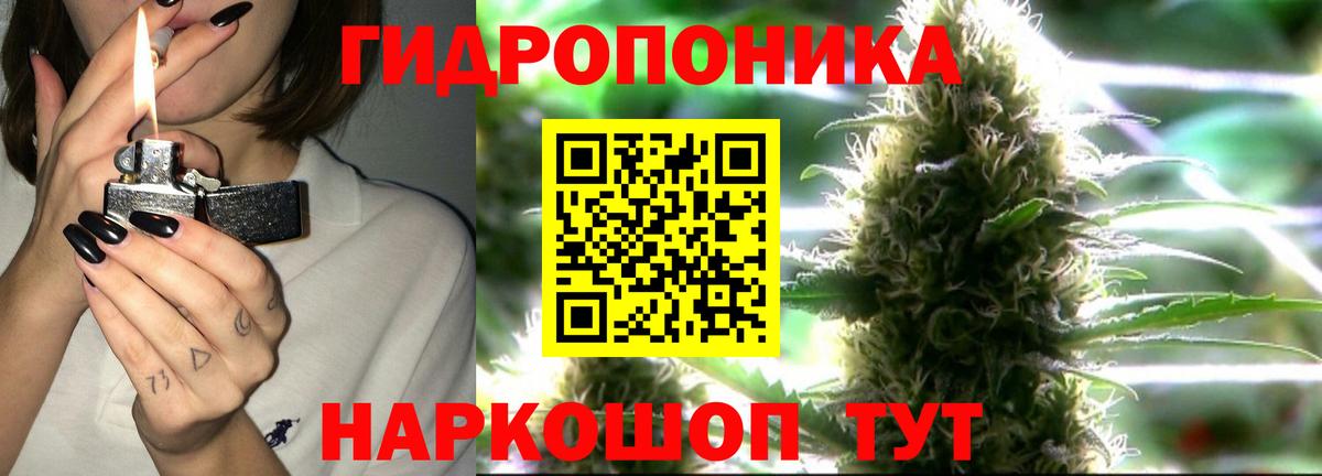 Бошки марихуана Amnesia  Марихуана тримм  Георгиевск  Марихуана ГИДРОПОН  Вход с VPN 